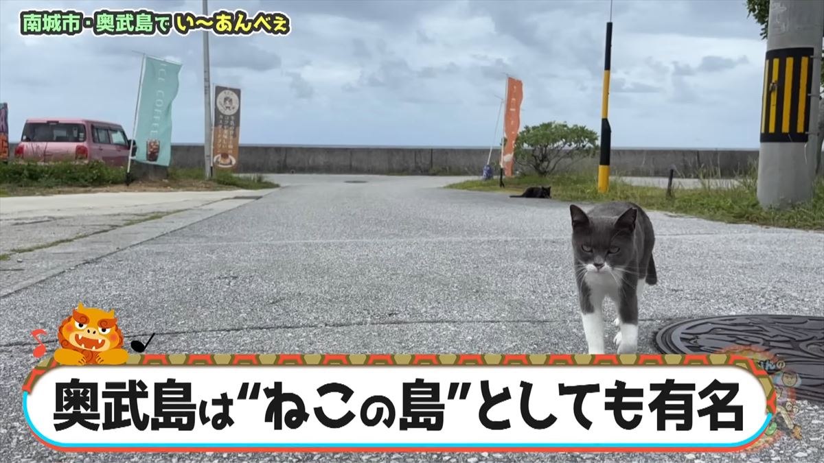 友近が「初めて来たけど最高！」と大絶賛！ありんくりんと奥武島の魅力を体験！でい～あんべぇ