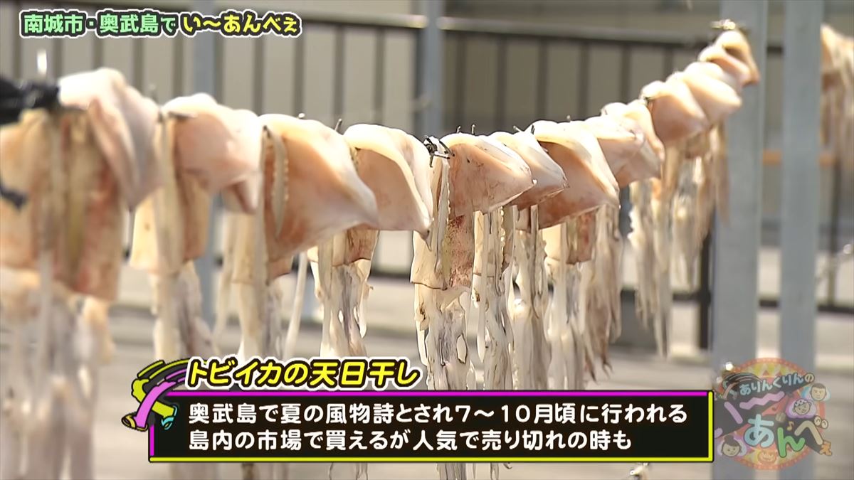 友近が「初めて来たけど最高！」と大絶賛！ありんくりんと奥武島の魅力を体験！でい～あんべぇ