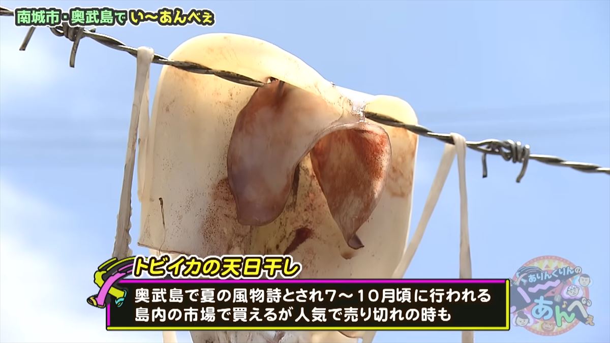 友近が「初めて来たけど最高！」と大絶賛！ありんくりんと奥武島の魅力を体験！でい～あんべぇ