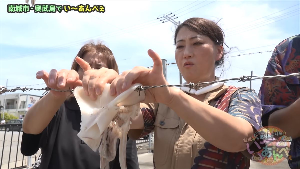 友近が「初めて来たけど最高！」と大絶賛！ありんくりんと奥武島の魅力を体験！でい～あんべぇ