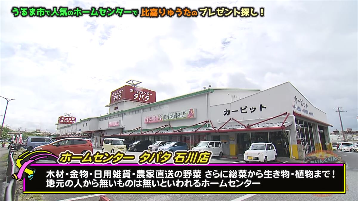 友近もびっくり！「ないものはない」沖縄のローカルホームセンター「タバタ」に潜入！でい～あんべぇ