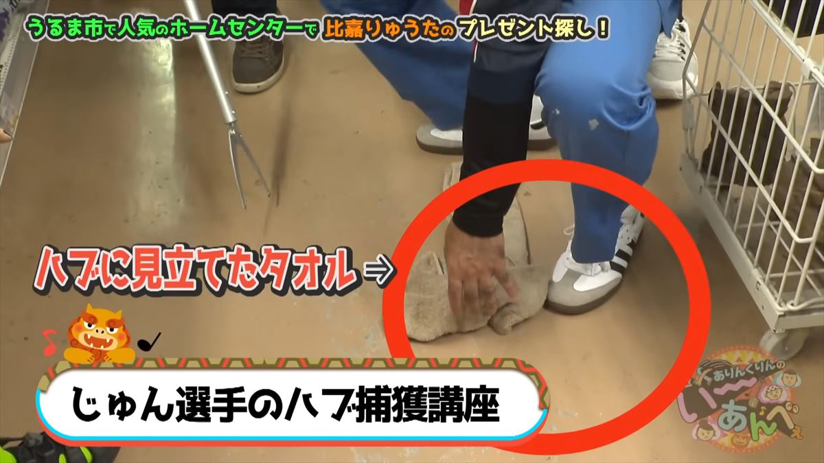 友近もびっくり！「ないものはない」沖縄のローカルホームセンター「タバタ」に潜入！でい～あんべぇ