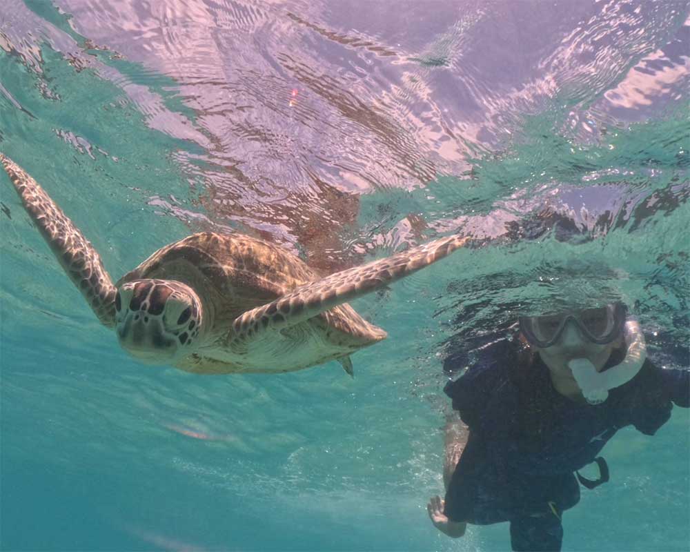 新しい人生は沖縄から。シングルマザーの私が沖縄移住で見つけた“よんなーな暮らし”