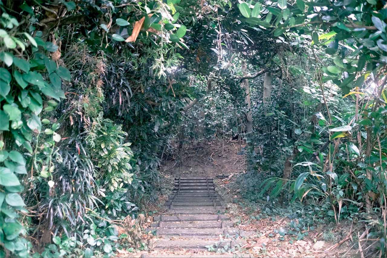 沖縄の定番観光に飽きたらコレ！琉球王国のルーツ・南城市佐敷のディープスポットを巡る「佐敷まーい」ARスタンプラリー