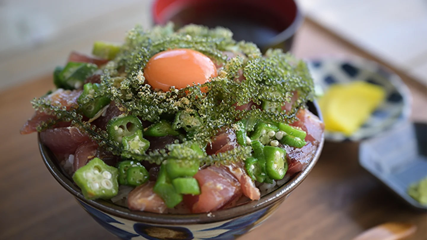 南城市をVRで巡る、琉球王国のルーツを辿る体験ガイド「佐敷まーい」