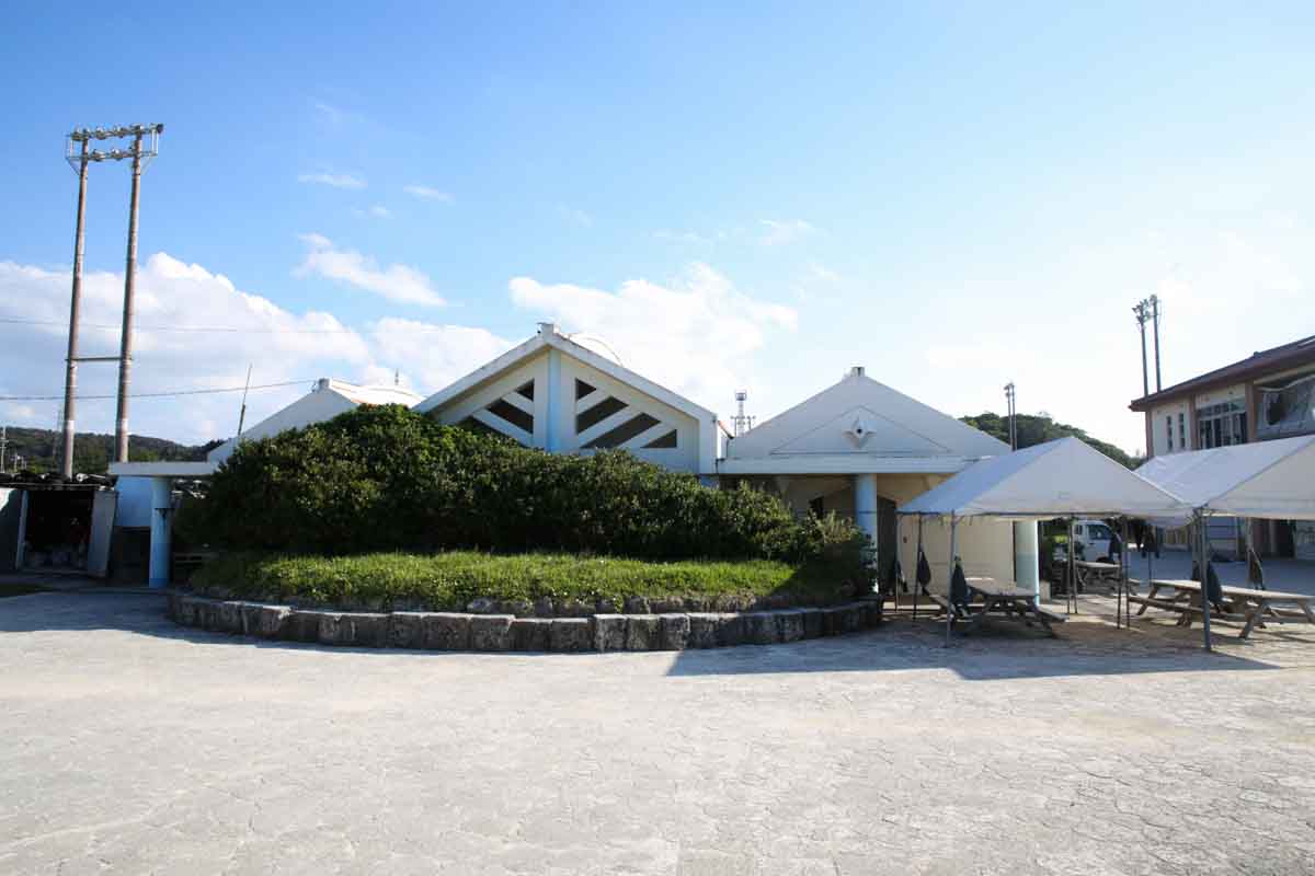 アクセス抜群！穏やかできれいな海でマリンスポーツとBBQが楽しめる恩納村海浜公園「ナビービーチ」（恩納村）