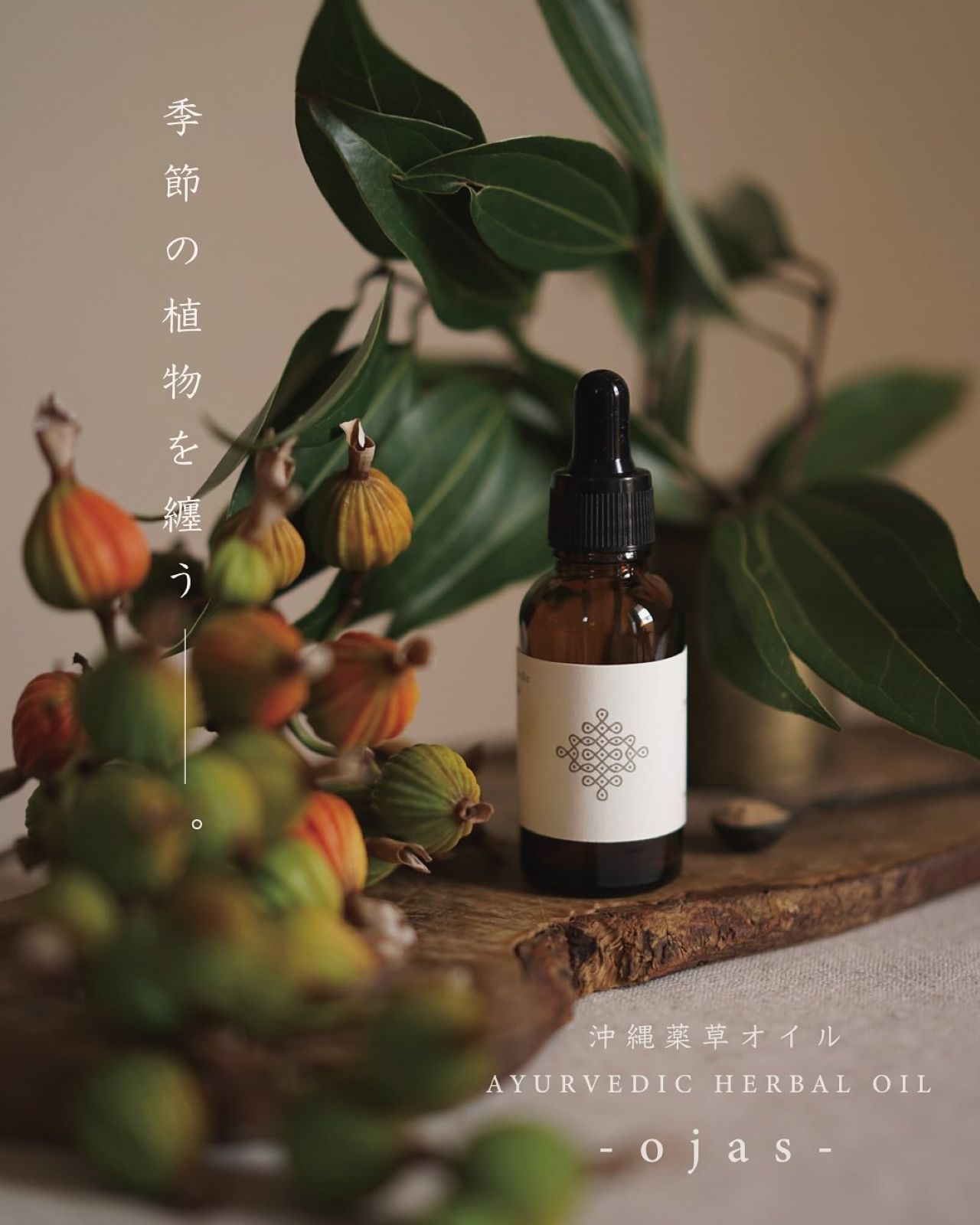 オキナワフードフレア_202511