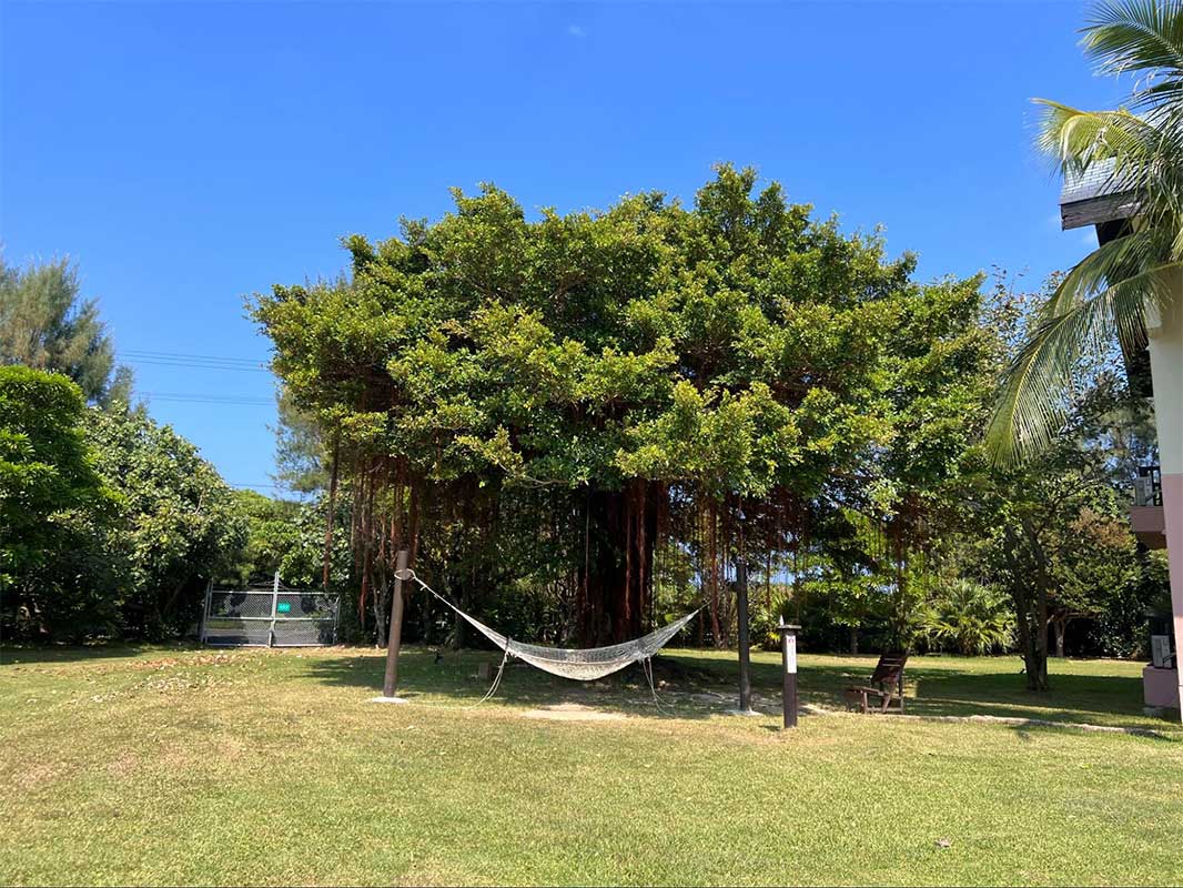 やんばるの自然に癒される。何度でも訪れたくなる「オクマ プライベートビーチ＆リゾート」