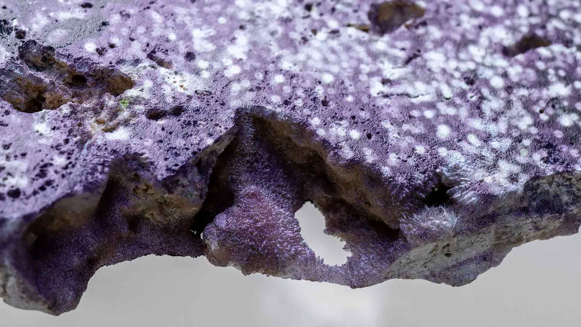 Tokio Kuniyoshi 国吉歳木朗 (@tokiokuniyoshi)