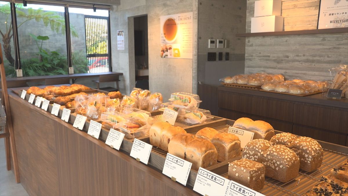 ウィンウィン 2025年11月2日放送