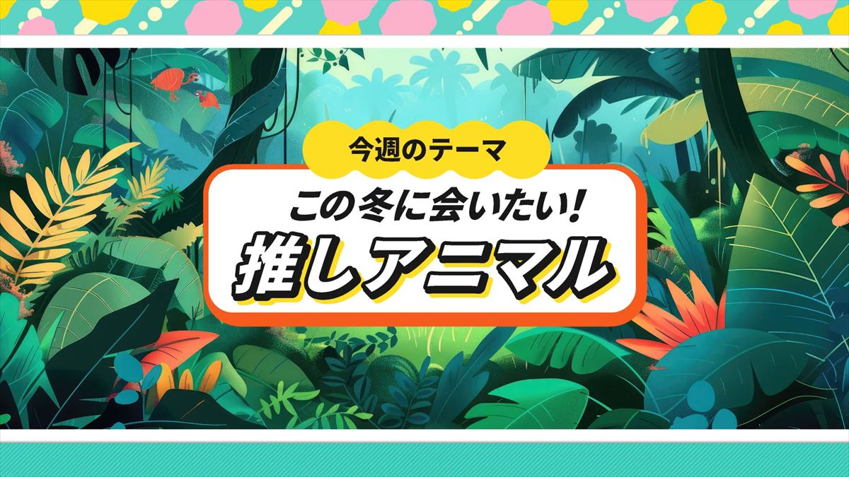 ウィンウィン　2025年11月9日放送