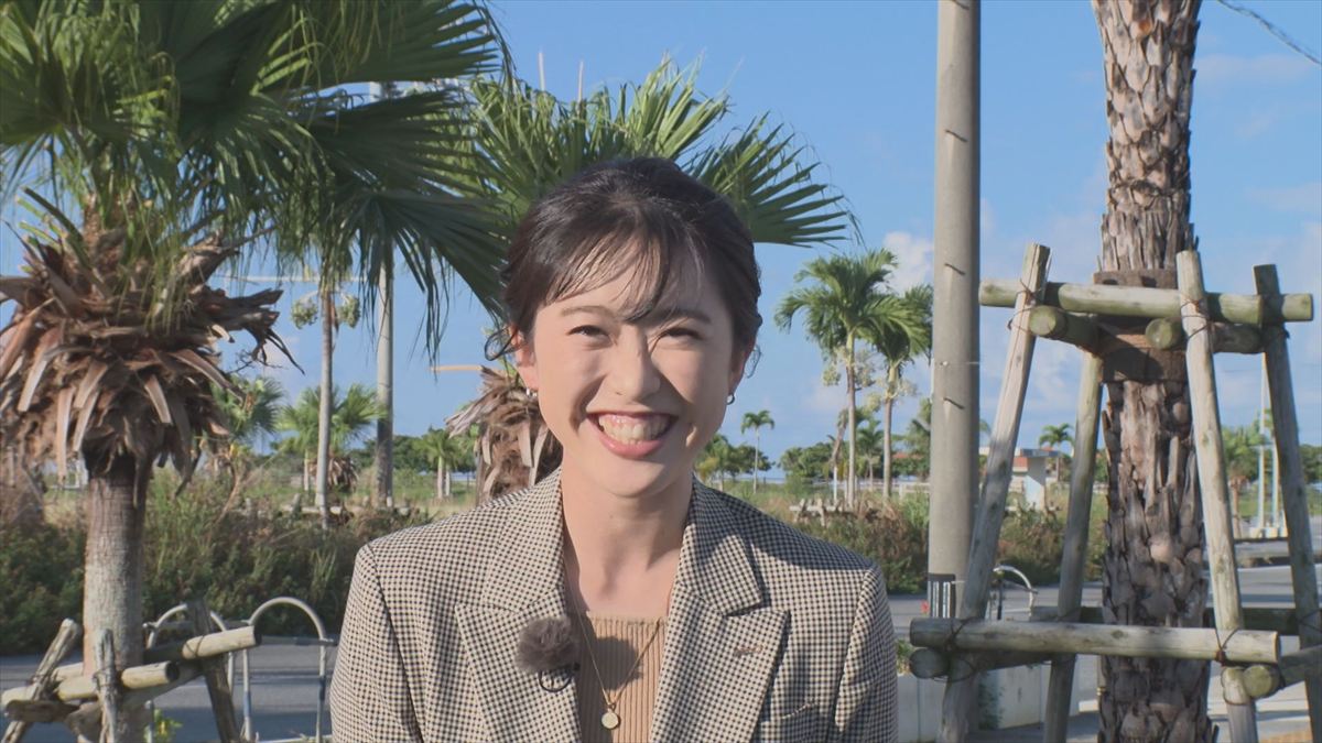 ウィンウィン　2025年11月9日放送