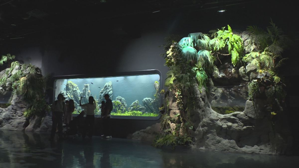 ウィンウィン　2025年11月9日放送