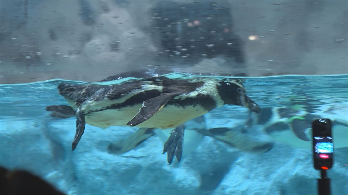 ウィンウィン　2025年11月9日放送