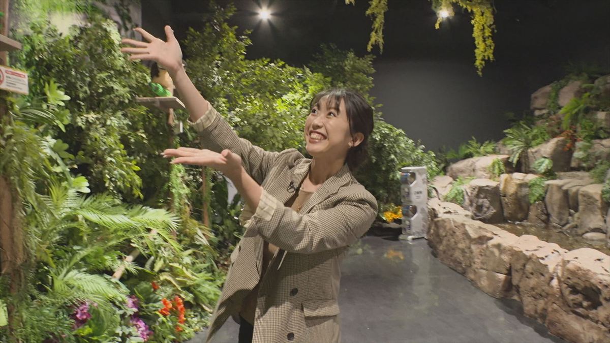 ウィンウィン　2025年11月9日放送