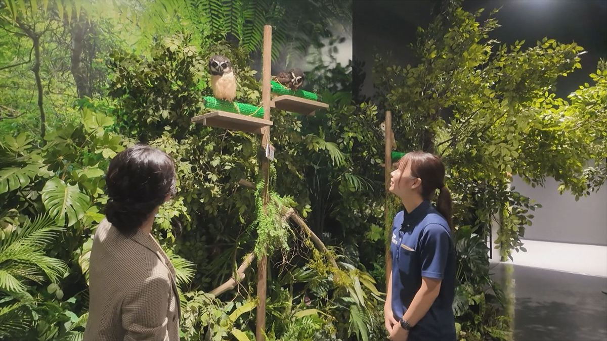 ウィンウィン　2025年11月9日放送