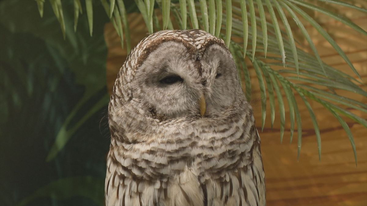 ウィンウィン　2025年11月9日放送