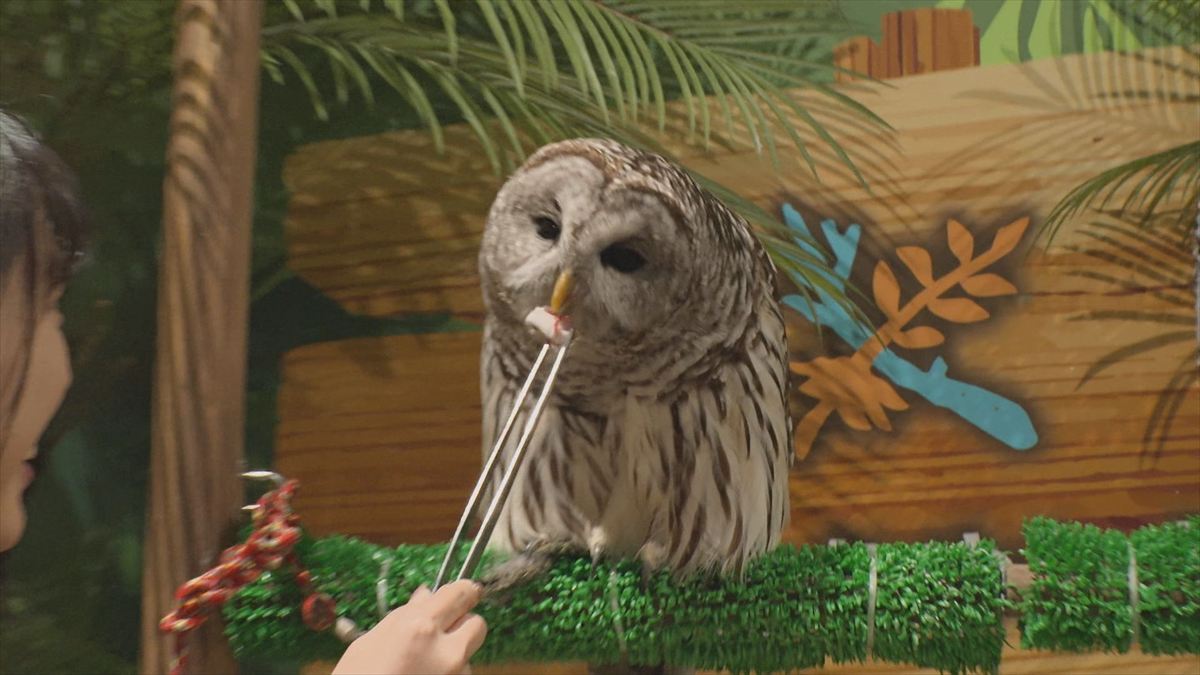 ウィンウィン　2025年11月9日放送