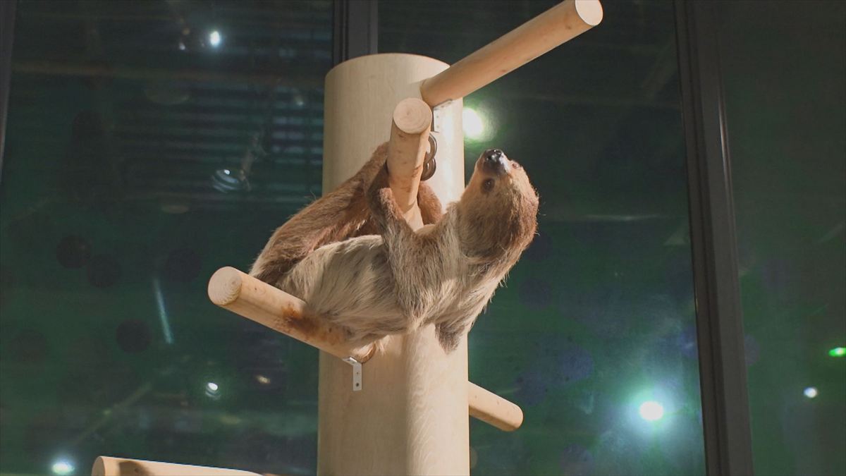 ウィンウィン　2025年11月9日放送