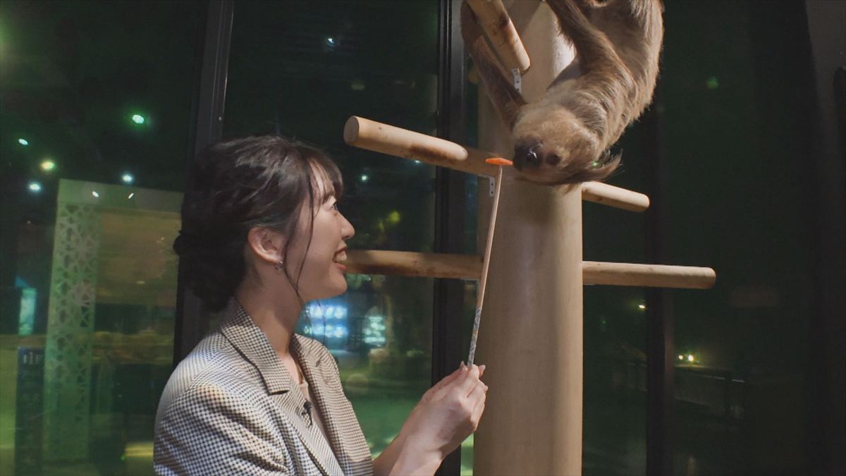 ウィンウィン　2025年11月9日放送