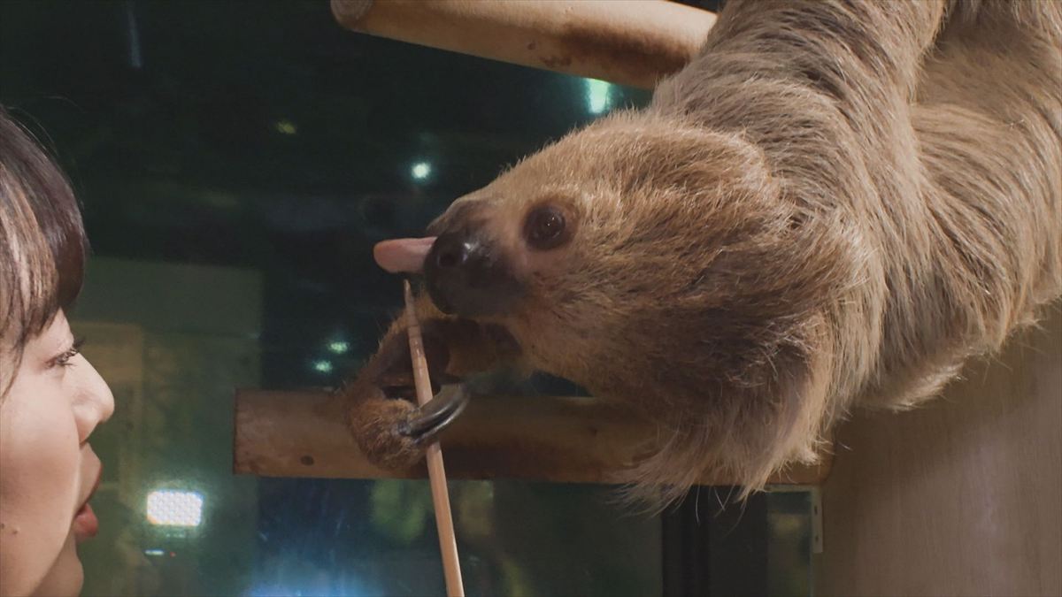 ウィンウィン　2025年11月9日放送