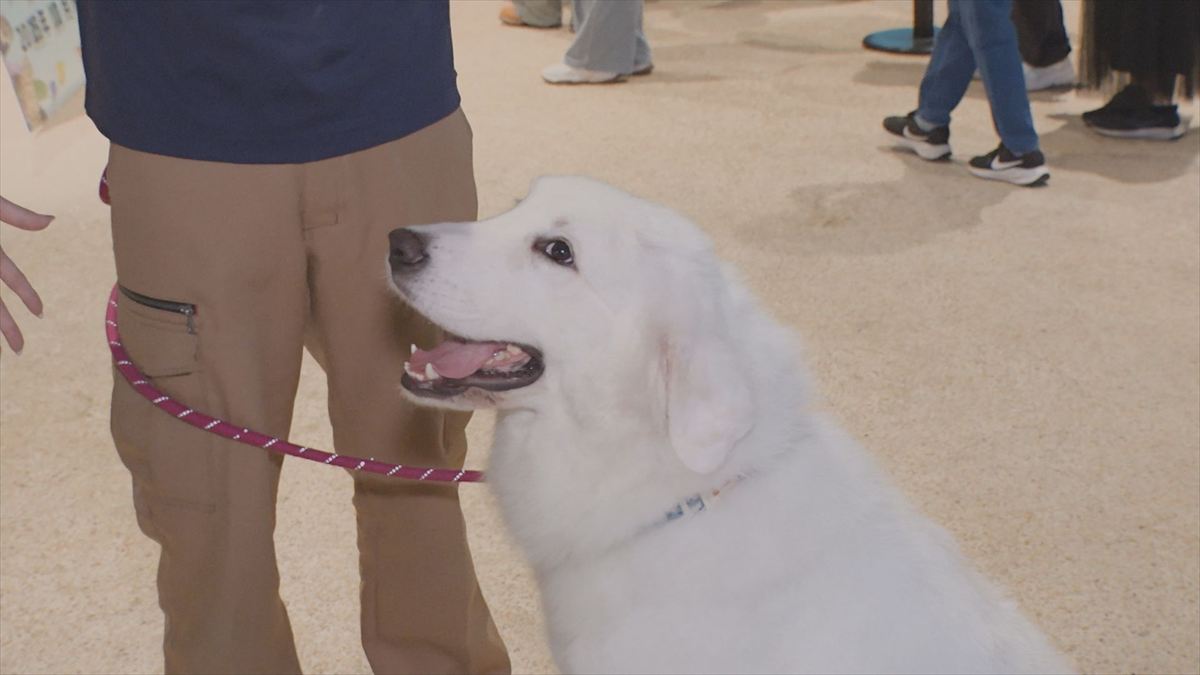 ウィンウィン　2025年11月9日放送
