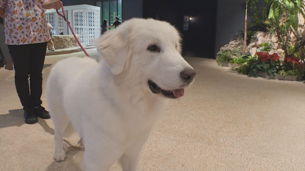 ウィンウィン　2025年11月9日放送