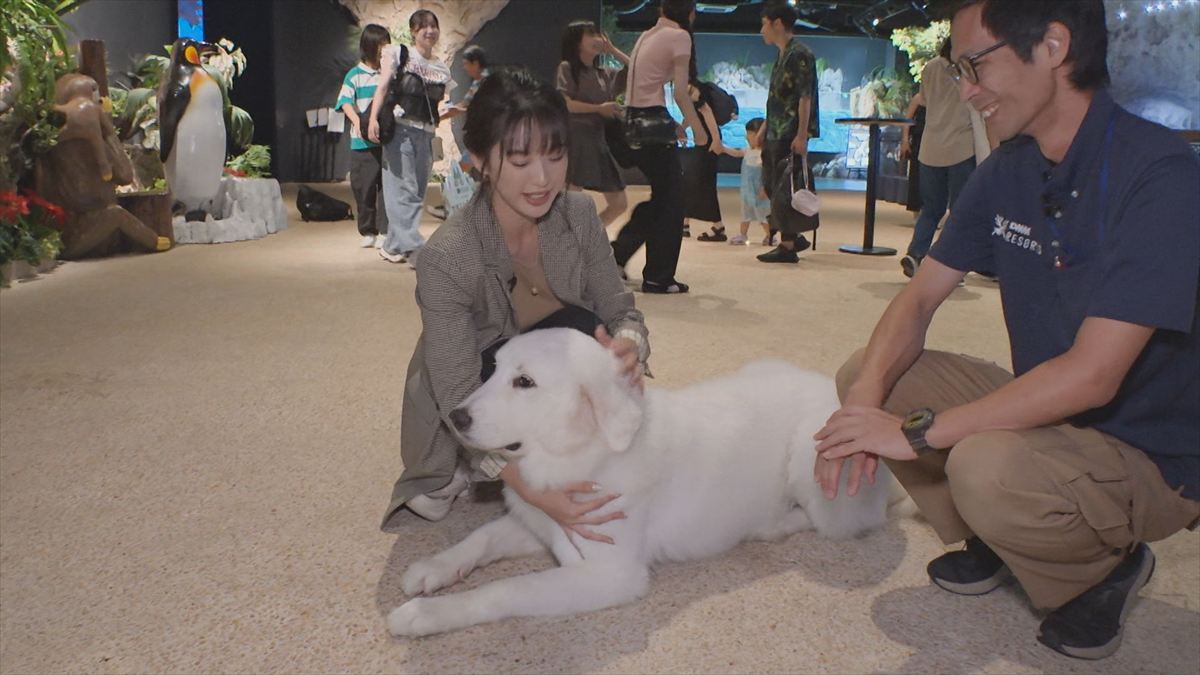 ウィンウィン　2025年11月9日放送