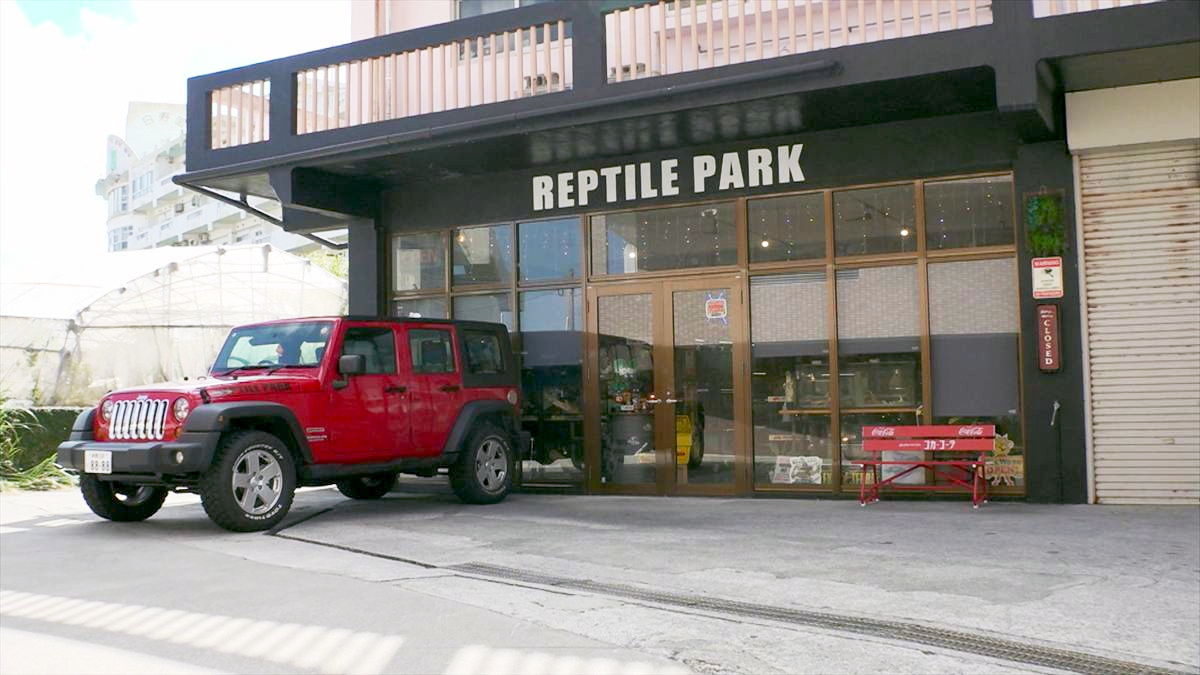 ウィンウィン　2025年11月9日放送