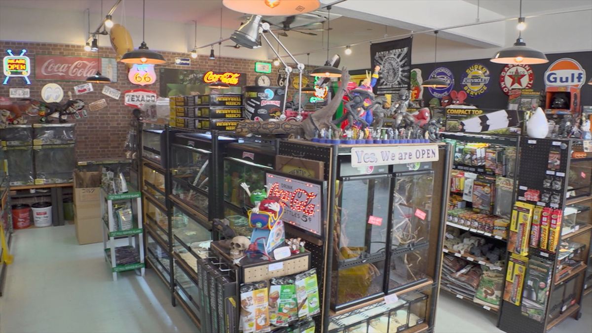 ウィンウィン　2025年11月9日放送