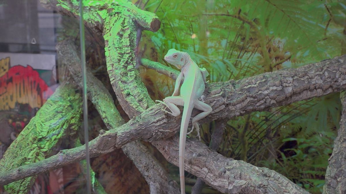 ウィンウィン　2025年11月9日放送