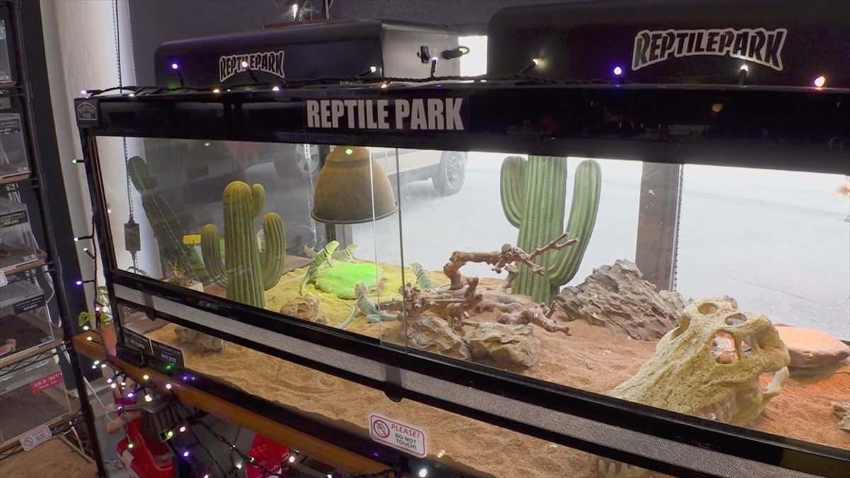 ウィンウィン　2025年11月9日放送