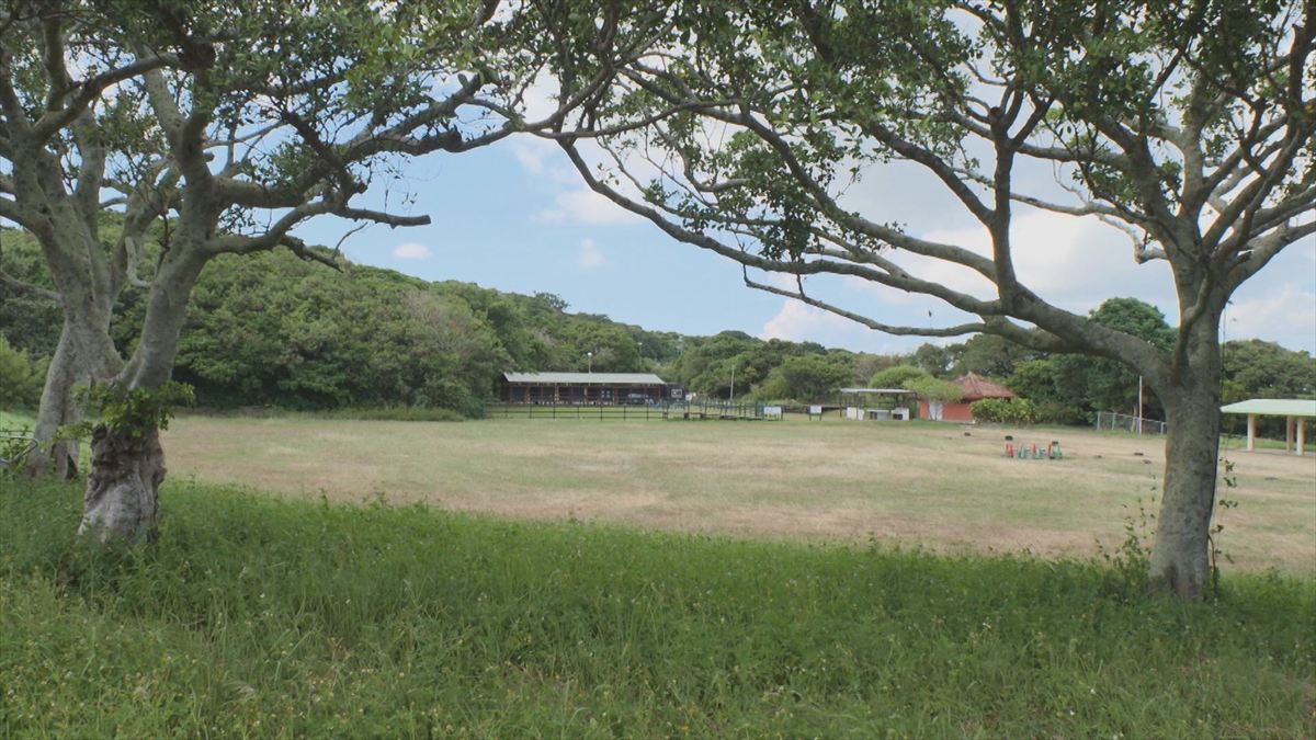 ウィンウィン　2025年11月9日放送