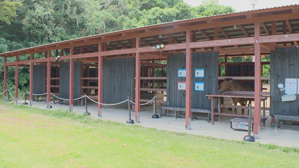 ウィンウィン　2025年11月9日放送