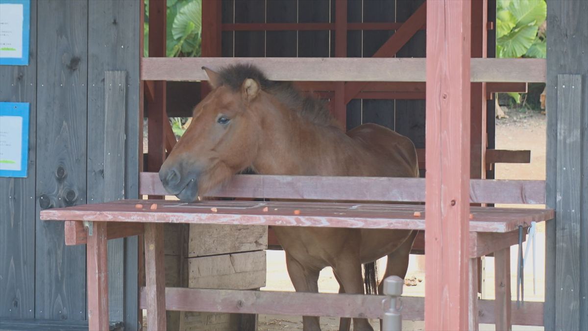 ウィンウィン　2025年11月9日放送