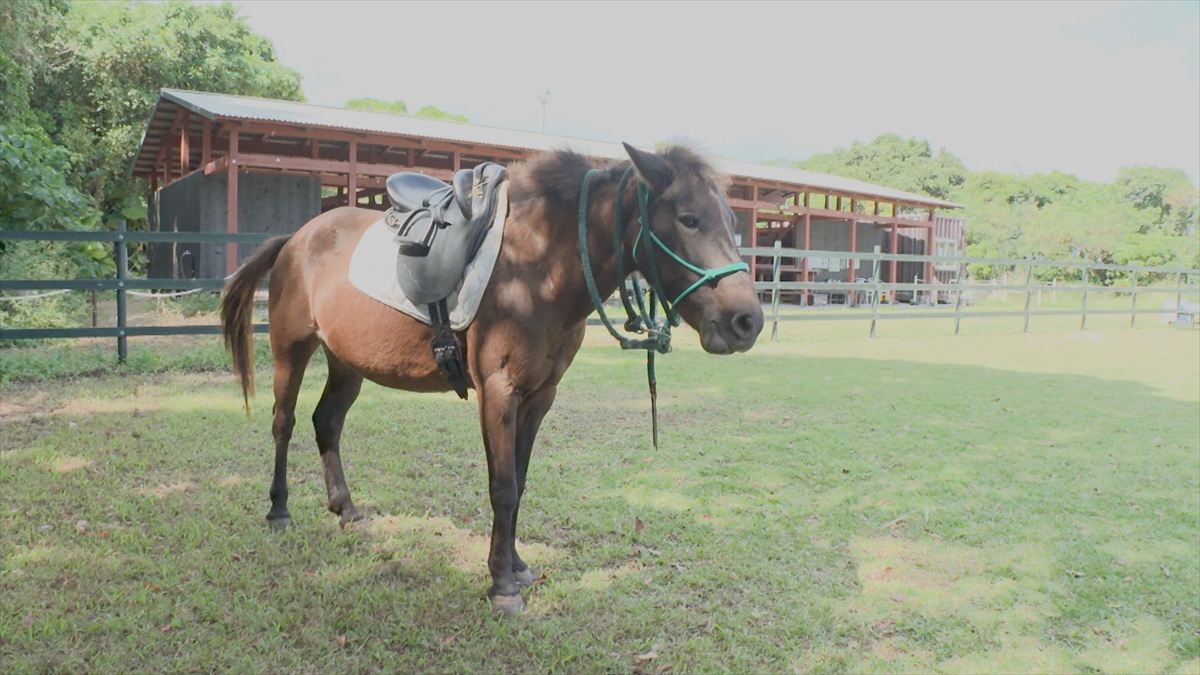 ウィンウィン　2025年11月9日放送
