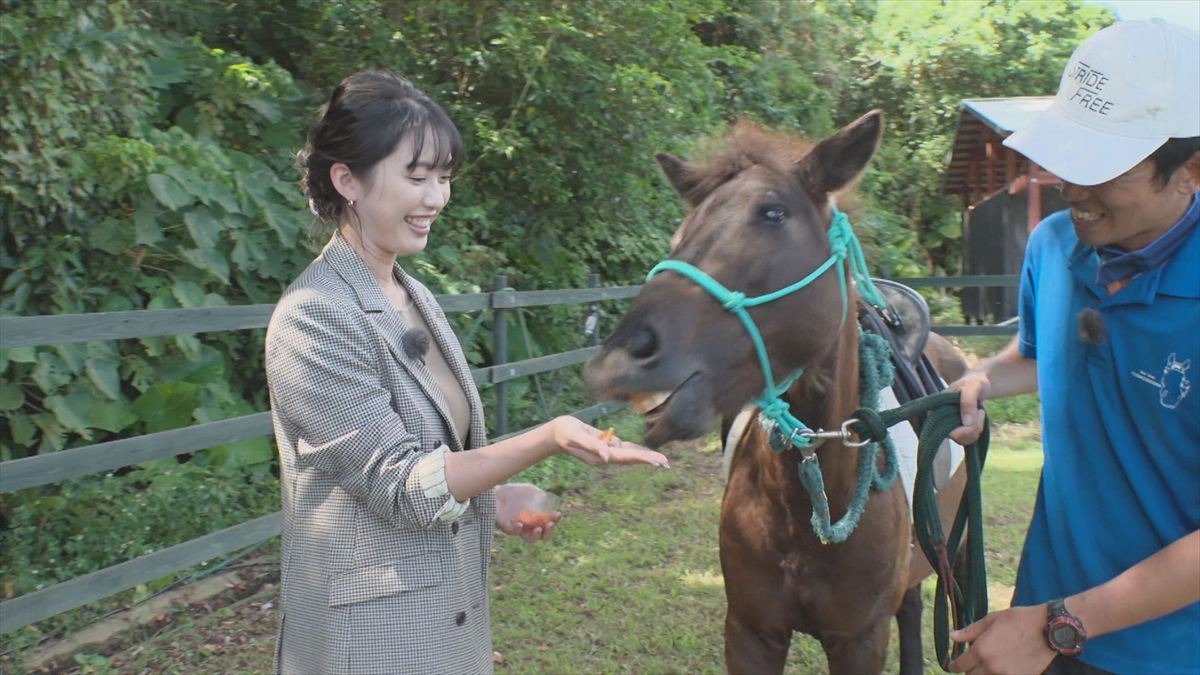 ウィンウィン　2025年11月9日放送