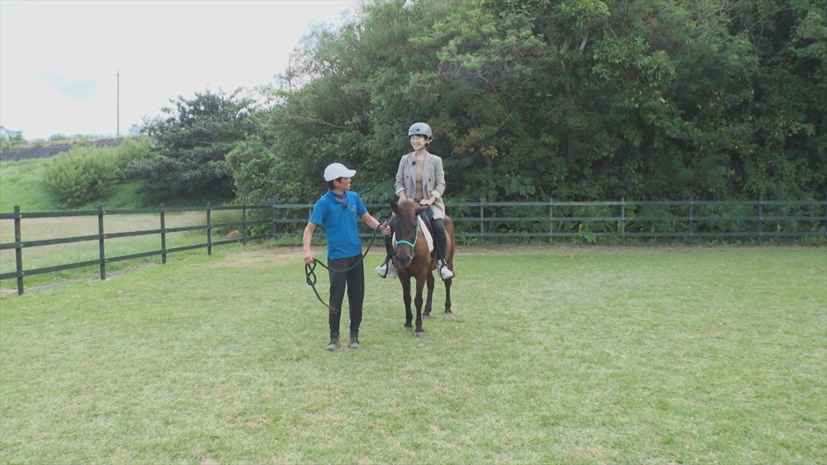 ウィンウィン　2025年11月9日放送