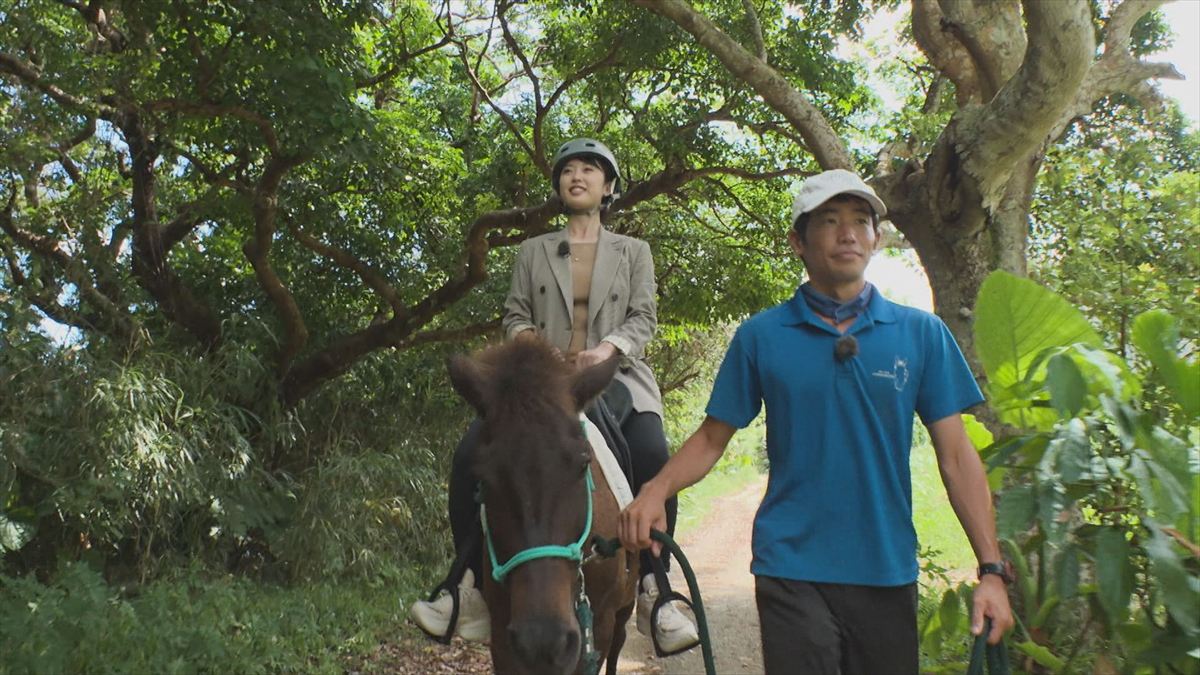 ウィンウィン　2025年11月9日放送