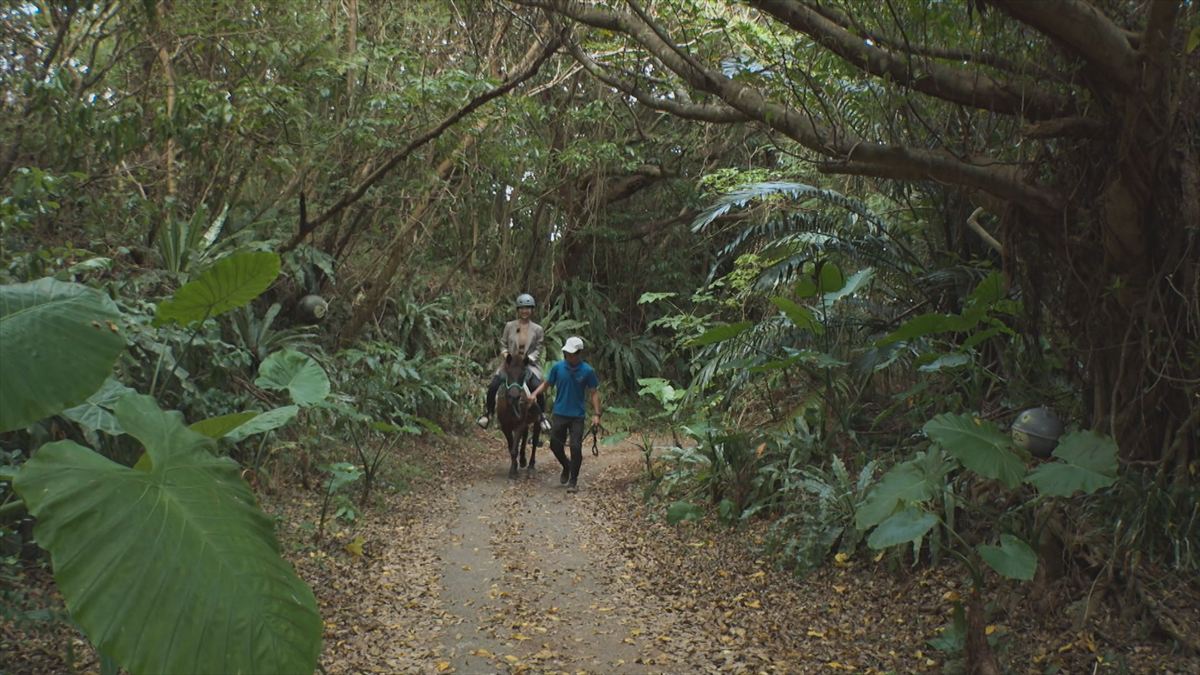 ウィンウィン　2025年11月9日放送