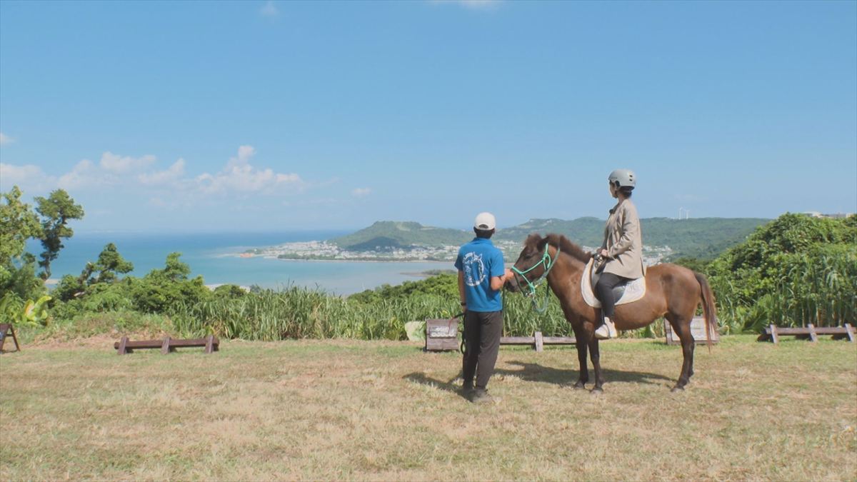 ウィンウィン　2025年11月9日放送