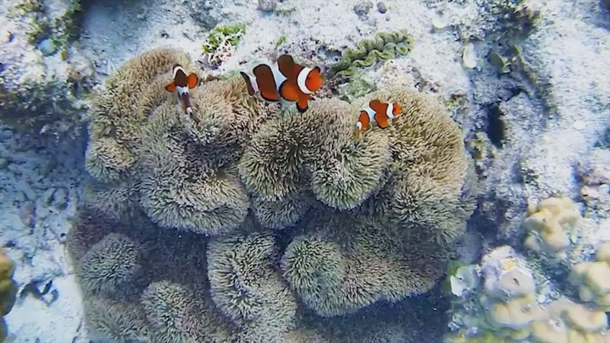 ウィンウィン　2025年11月23日放送