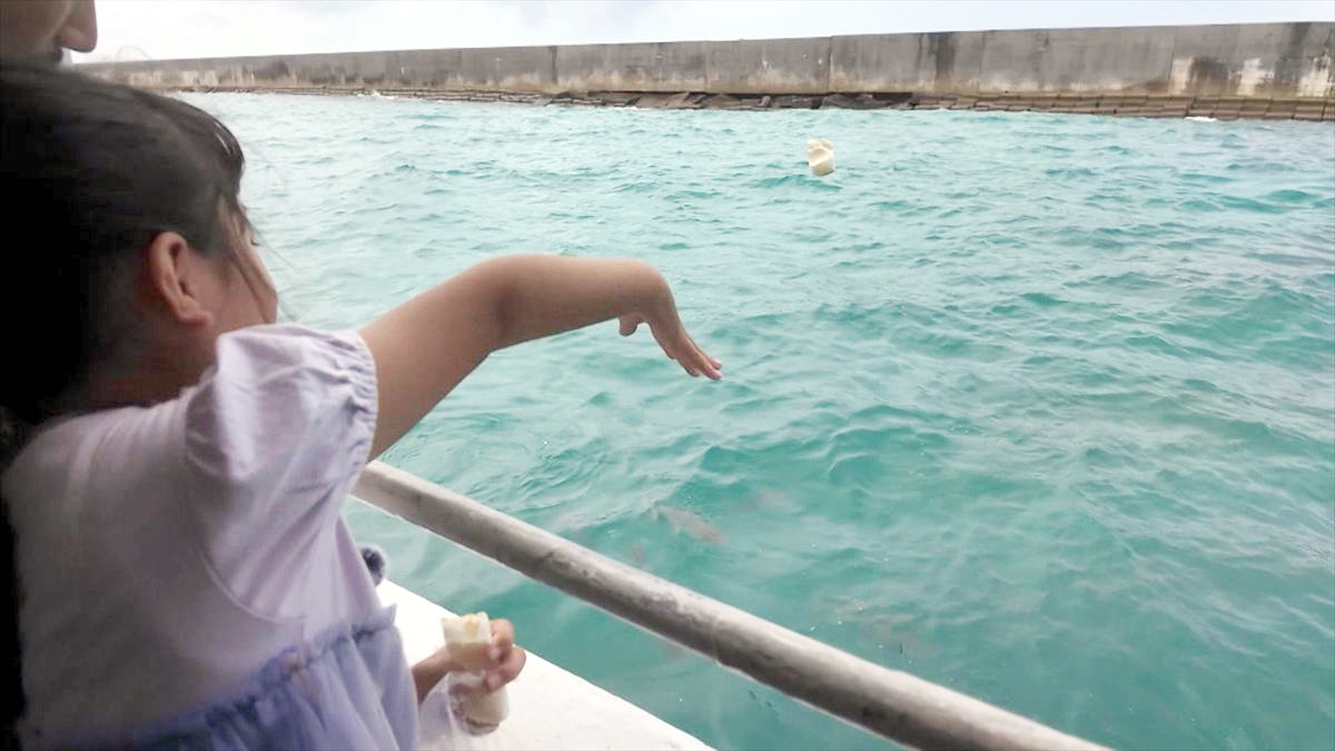 ウィンウィン　2025年11月23日放送