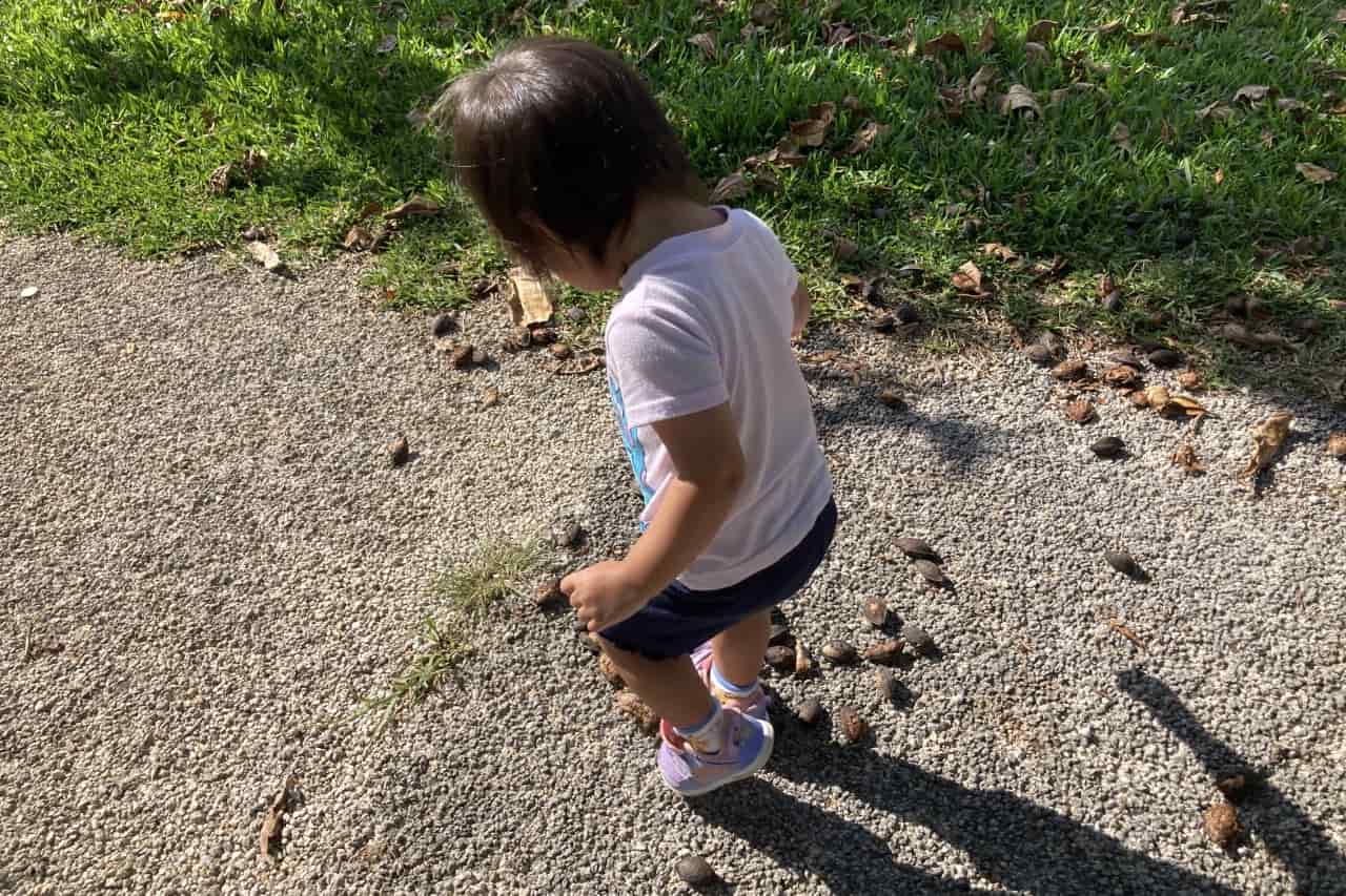 白川公園_沖縄市