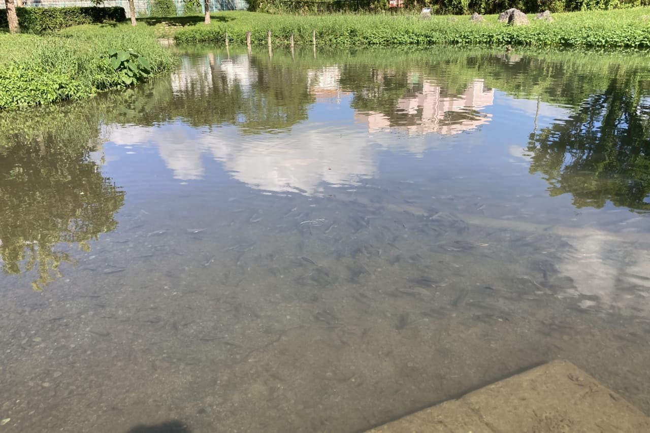 白川公園_沖縄市