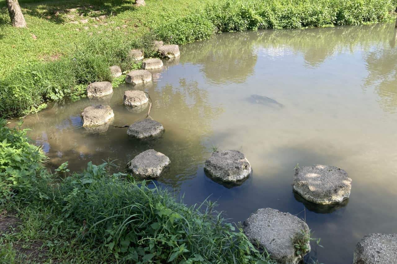 白川公園_沖縄市