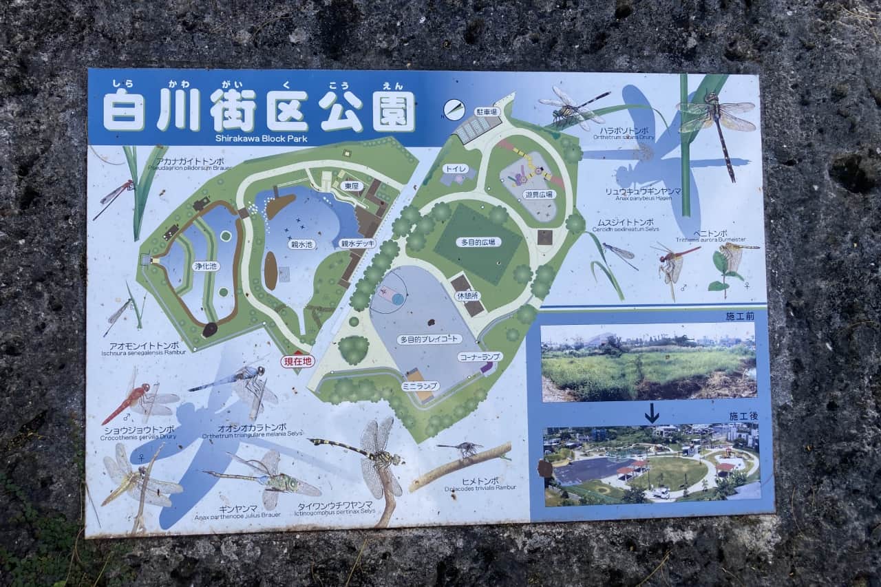 白川公園_沖縄市