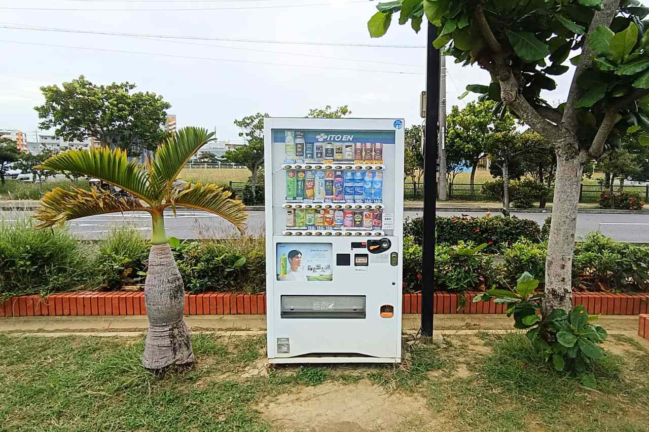 東浜きょうりゅう公園_与那原町