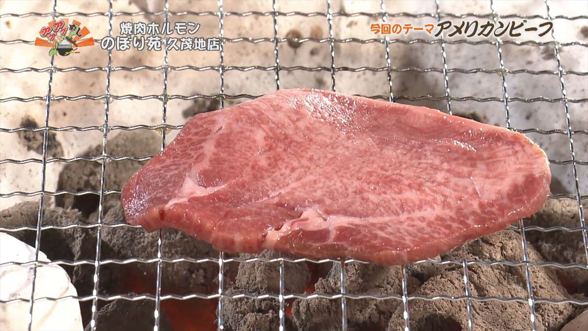 焼肉ホルモン のぼり苑 （那覇市久茂地）｜OTV アゲアゲめし 2025年12月12日放送