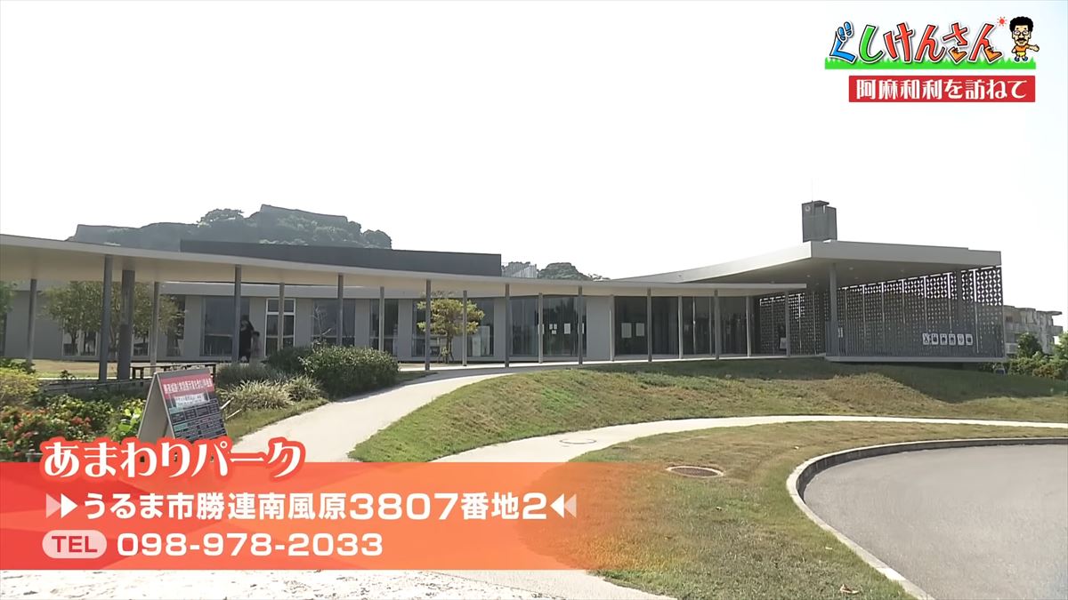 具志堅用高が20年ぶりの勝連城跡で英雄体験！？阿麻和利（あまわり）の真実に迫る！【ぐしけんさん】